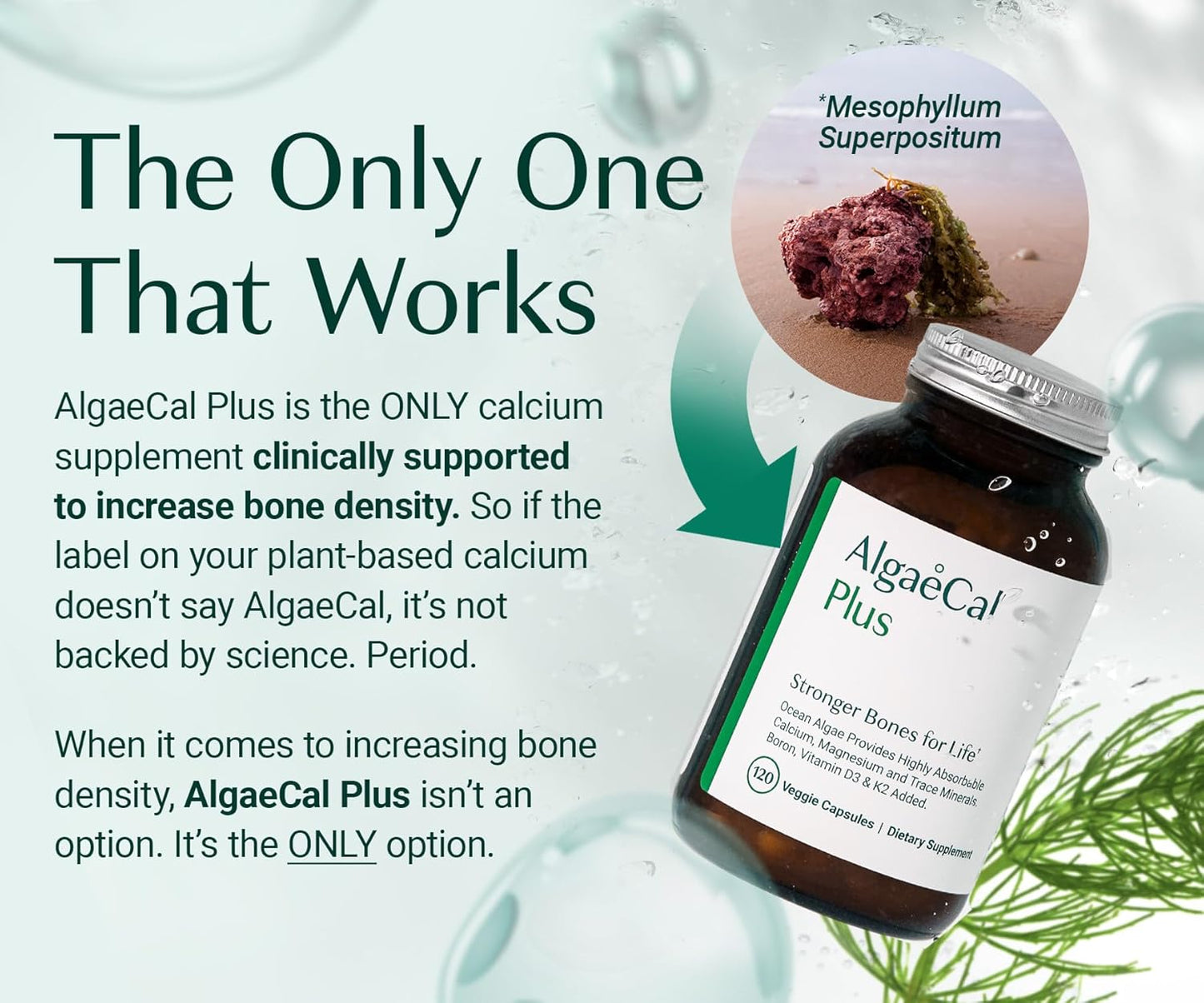 AlgaeCal Plus